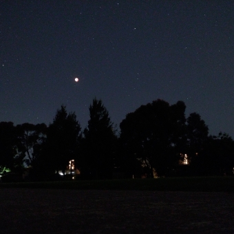 A Lunar Eclipse, from my backyard, with the moon a small kind of red dot in the sky, surrounded by little white specks of stars, with trees and houses barely silhouetted against the sky, with not much colour deteacted bar points of light from the sky and from the slivers of peoples' houses