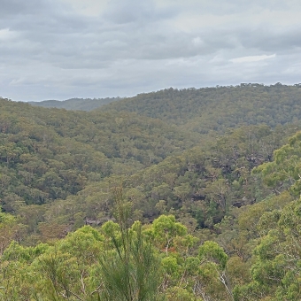 Quarter Sessions Road Lookout, Westleigh, with green gum trees covering a valley into the distance, with grey mashed potato clouds covering the sky