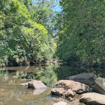 Hacking River, Royal National Park, with a calm and flat river at the bottom of the picture which reflects all that is above it, with green trees overhanging the river and the bluest sky poking through above the trees