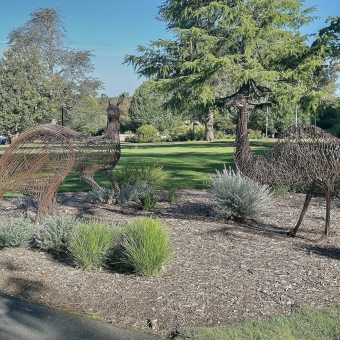 Garden Coat of Arms, with a wire kangaroo on the left and a wire emu on the right standing about head-high in a woodchipped garden alongside knee-high shrubs, with green grass behind them leading towards a manicured garden and pruned trees behind them