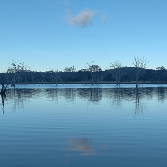 Reflected Blue, Mulligans Flat, with a thin strip of half-silhouetted dead trees and low-rise hill which forms the horizon, with a singluar blue cloud in an otherwise brilliant blue sky, with the water below barely rippling and perfectly reflecting the trees and hill and sky