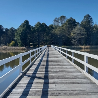 Royal Canberra Walking Bridge, Yarralumla, with a white-picket wooden bridge extending from the botton of the picture to the centre and into the distance, with still blue water underneath and either side of the bridge, with dense dark-green trees on the opposite bank easily blocking the horizon, with the clearest blue sky above