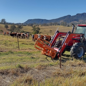 On The Farm, Gloucester, with a red farm tractor in the foreground on the right of the picture which has a hay bale carrier on it's front, with about twenty brown and white Hereford cows in the field immediately behind and to the left of the tractor, with a low-rolling green hill behind the cows, with a dark green mountain in the distance, with a clear blue sky above