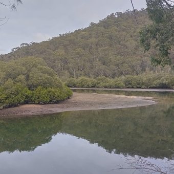 Cowan Creek, North Turramurra, with a calm river below which winds from the bottom left to the lower-middle right, then back to the middle left and behind the opposite bank which is brown sand the green shrubs which are reminscent of mangroves in colour but are too dense, with the far bank on the right extending up to a hill which is covered in gum trees