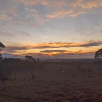 Peeking Sun on the Horizon, Taylor, with two silhouetted trees the only things extending above the horizon, with a grey strip of clouds atop the horizon with the smallest hole where a single dot of sun pokes through, with the rest of the clouds glowing a brilliant orange in an otherwise pastel blue sky