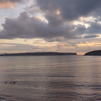 Rocky Point Island Sunrise, Mosman, with two headlands almost meeting left and right across the horizon, with grey and peach-coloured mashed potato clouds above, with horizontally-rippling water below, with pastel pinks and yellows and blues seemingly emerging from the right healland and reflected in the water