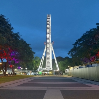 The Wheel of Brisbane Under Lights, South Brisbane, with a sixtre-metre tall ferris wheel illuminated white in front of a navy sky, with trees left and right illuminated with a different coloured light