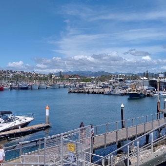 Marina Walkway Purview, Coffs Harbour, with many seeminly intertwining wooden jetties across blue water housing many yachts and middle-sized boats, with mountains atopped by clouds in the far distance, with an otherwise blue sky;