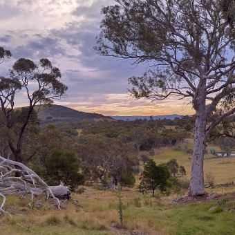 The Setting Sun, Taylor Conservation Area, witha grassy slope going down the hill dotted with trees going deep into the valley, with grey clouds with the underside glowing orange by the setting sun