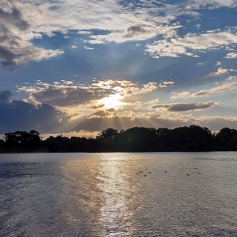 Reflected Radiance, Black Mountain Peninsula, with blue sky above and a golden sun in the middle gilding white clouds which are dotted across the sky, with the sky reflected in the rippling water below