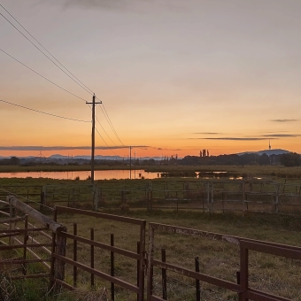 Sunset Over The Cattle Trap, Shoveler Pond, Fyshwick, with fencing made into small fields immediately in front, with small powerpoles going off into the horizon where an orange glow of sunet is silhouetting streaked clouds just above the sunset, with Parliament House and Telstra Tower visible as miniscule pin needle spikes silhouetted against the sky in the distance
