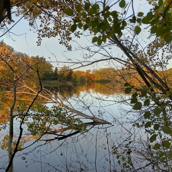 The Stillness of Autumn Water, Jerrabomberra Wetlands Reserve, with close trees which have half-lost their leaves which frames the picture in the foreground and a still river in the middle ground and green trees on the far shore which has one dot of a red tree in the centre of the image