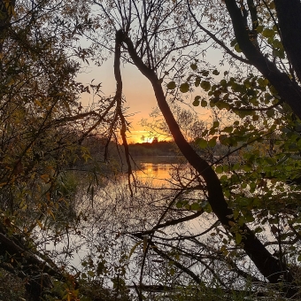 Framed Sunset, Jerrabomberra Wetlands Reserve, with a tree snapped in the middle which perfecly frames the sunset over the water, with other trees filtering the rest of the background