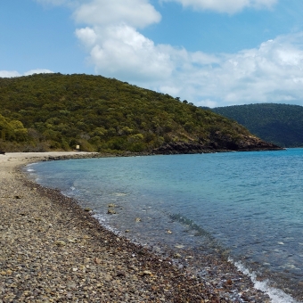 Coral Beach, Shute Harbour, with a coral-covered beach leading to headland