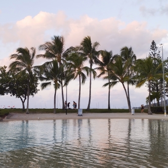 Reflected Palms, Airlie Beach, with a line of palm trees in front of pink sunset clouds all reflected in calm water