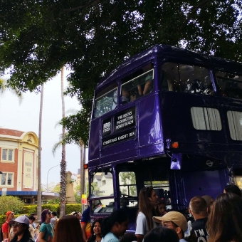 The Knight Bus, Under The Bridge, The Rocks, with a purple triple-decker bus surrounded by people below and green leaves above