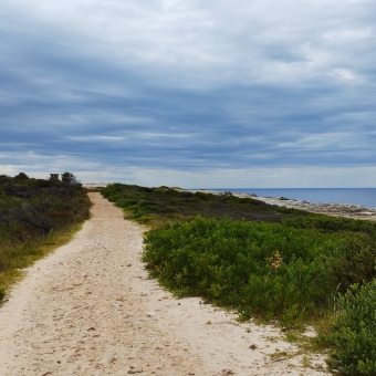 The Infinite Path, Boora Point Trail, with a sandy track on the left weaving through green shrubbery, with grey-blue clouds reflected in the rippling ocean on the right