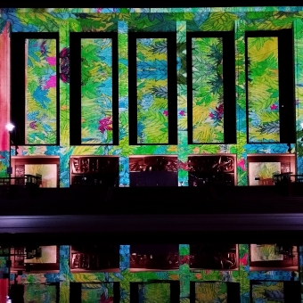Enlighten Festival, National Library, Parkes, with projectors illuminating the National Library leafy green foliage