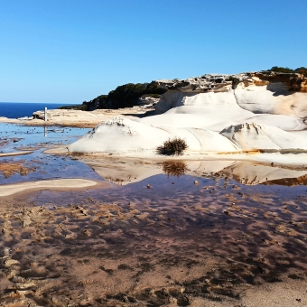 Peaceful Reflections, The Balconies, Royal National Park, with small rain puddles reflecting clear blue sky between otherwise smooth rock, with green shrubs to the right overlooking the flat clifftop which overlooks the blue ocean to the left in the distance