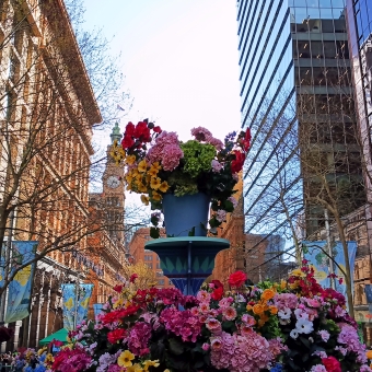 Crowds Of Flowers, Martin Place, Sydney, with flowers of multiple colours arranged in a three-metre tall display in the middle of Martin Place, with The Post Clock Tower in the background on the left